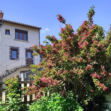 La Meziou Du Bois Joli